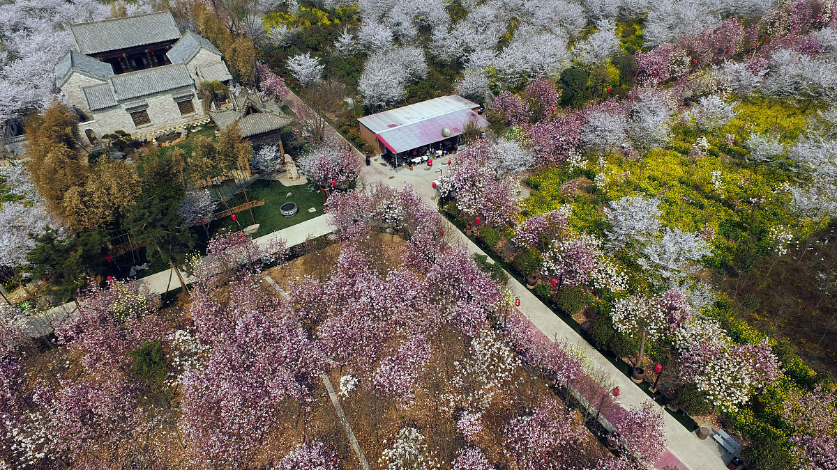 徐州驿路梨花中心：弘扬传统文化，体验古驿站魅力