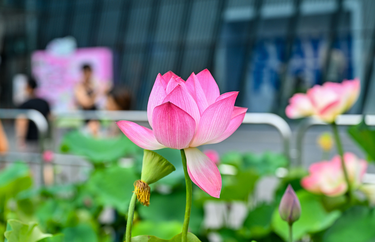 重庆哪些大专学校有铁道车辆专业