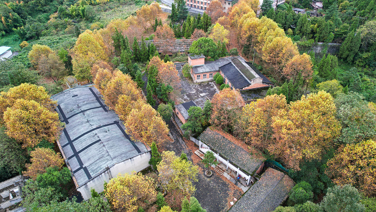 贵州轻工职业技术学院技术监督与商检专业怎么样？深度解析教学质量