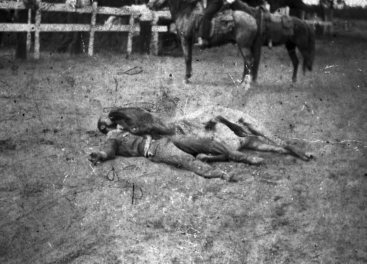 view of american cowboy bill pickett (1870 - 1932) as he restrai