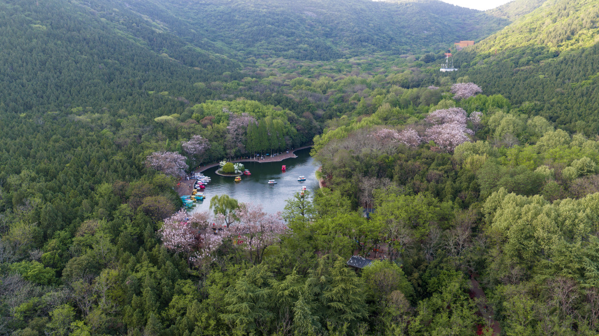 2026年4月12日,安徽淮北,相山国家森林公园春意正浓.,