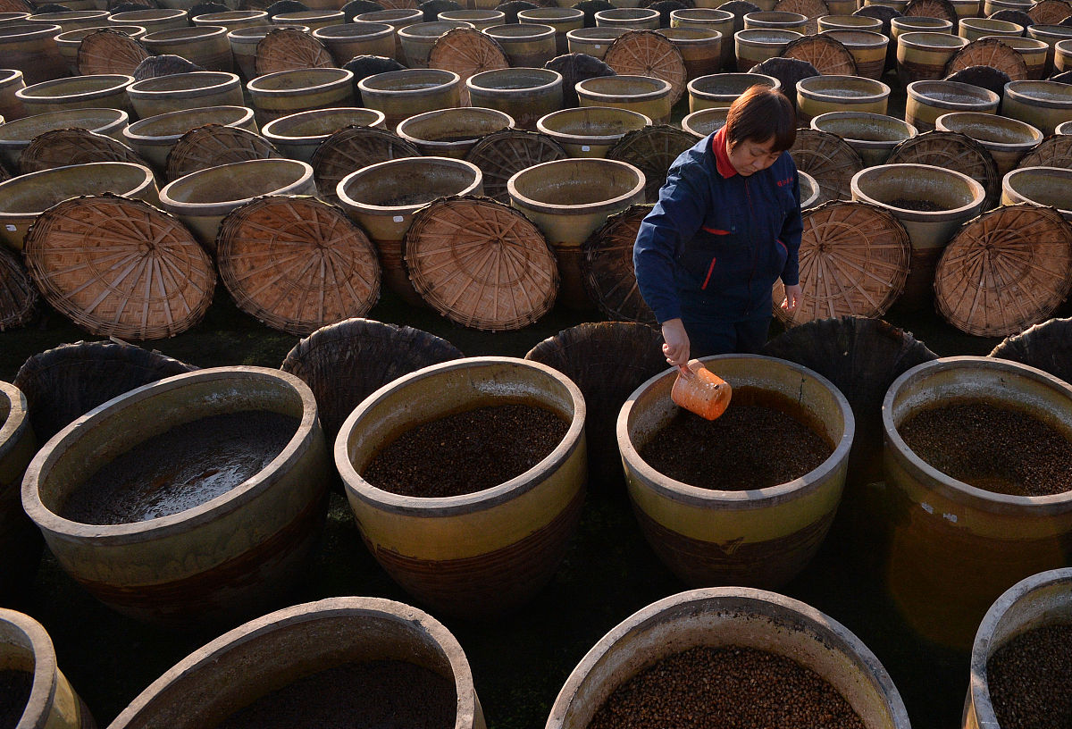 我家乡的特产醋 写一篇300字小学作文