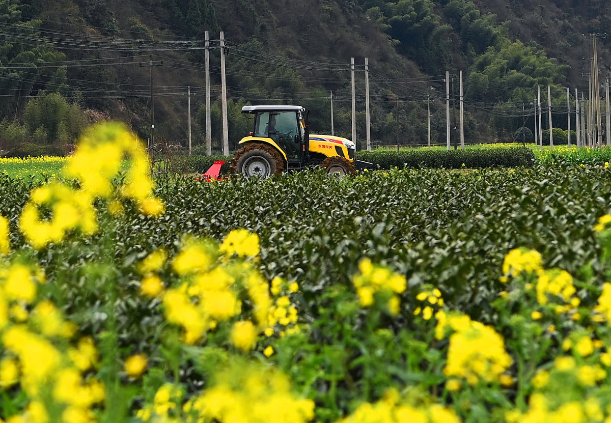 山西省农业机械化学校环境怎么样？