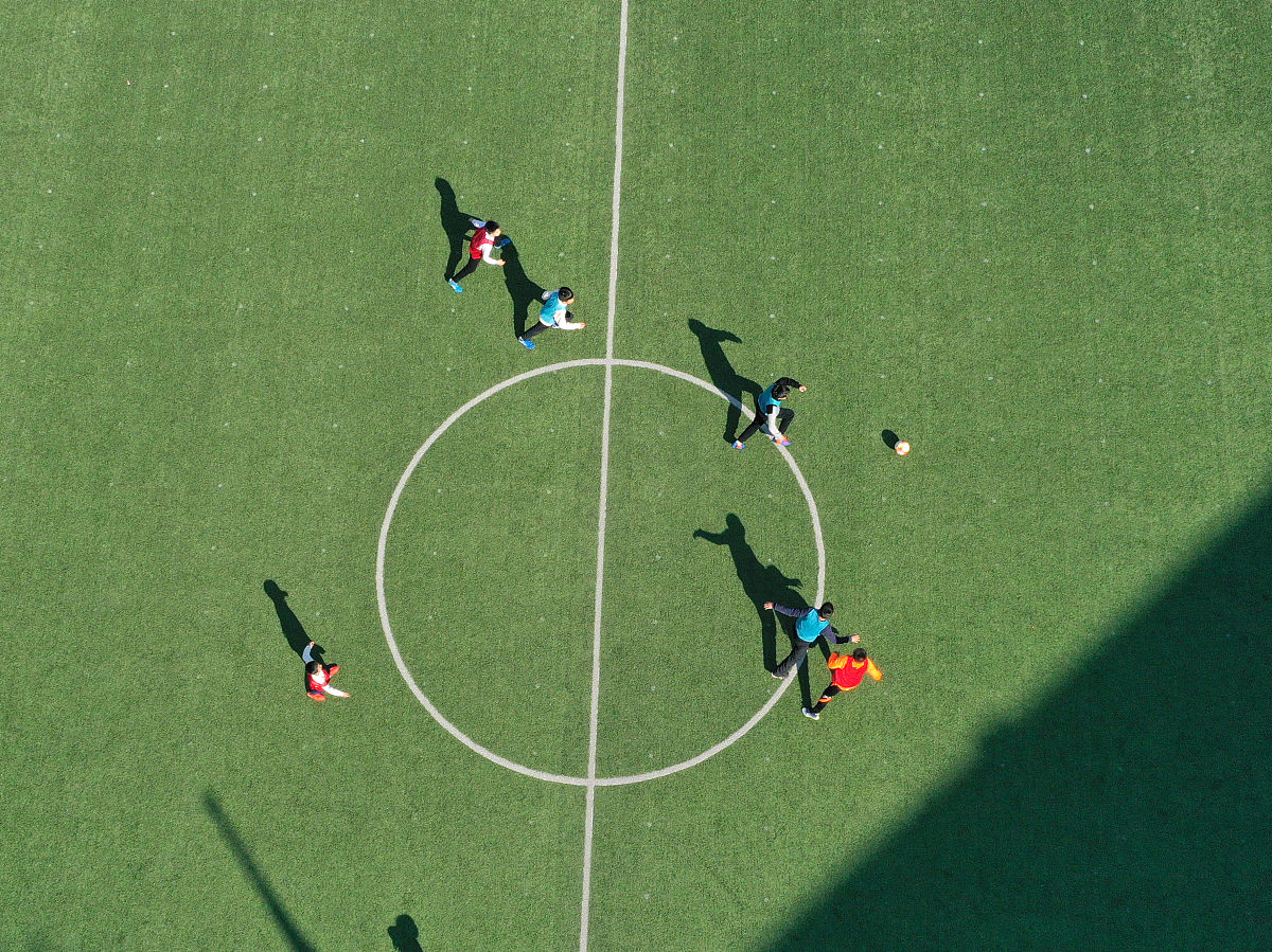 昆虫饲养及生长发育观察实验报告撰写指南