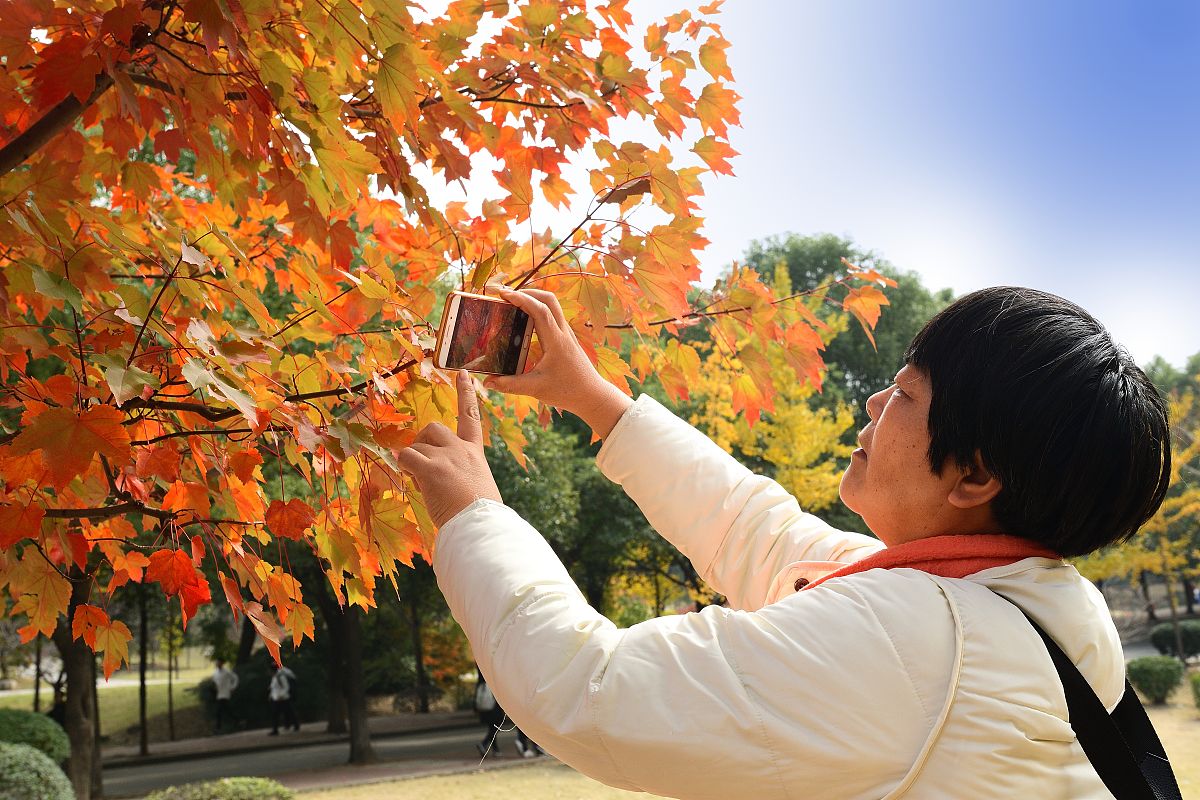 湖南省观光农业经营专业中专中职学校推荐