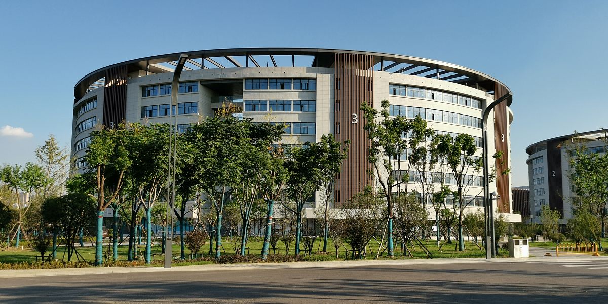 成都东软学院软件技术对日外包专业招生（专科） - 培养未来软件人才