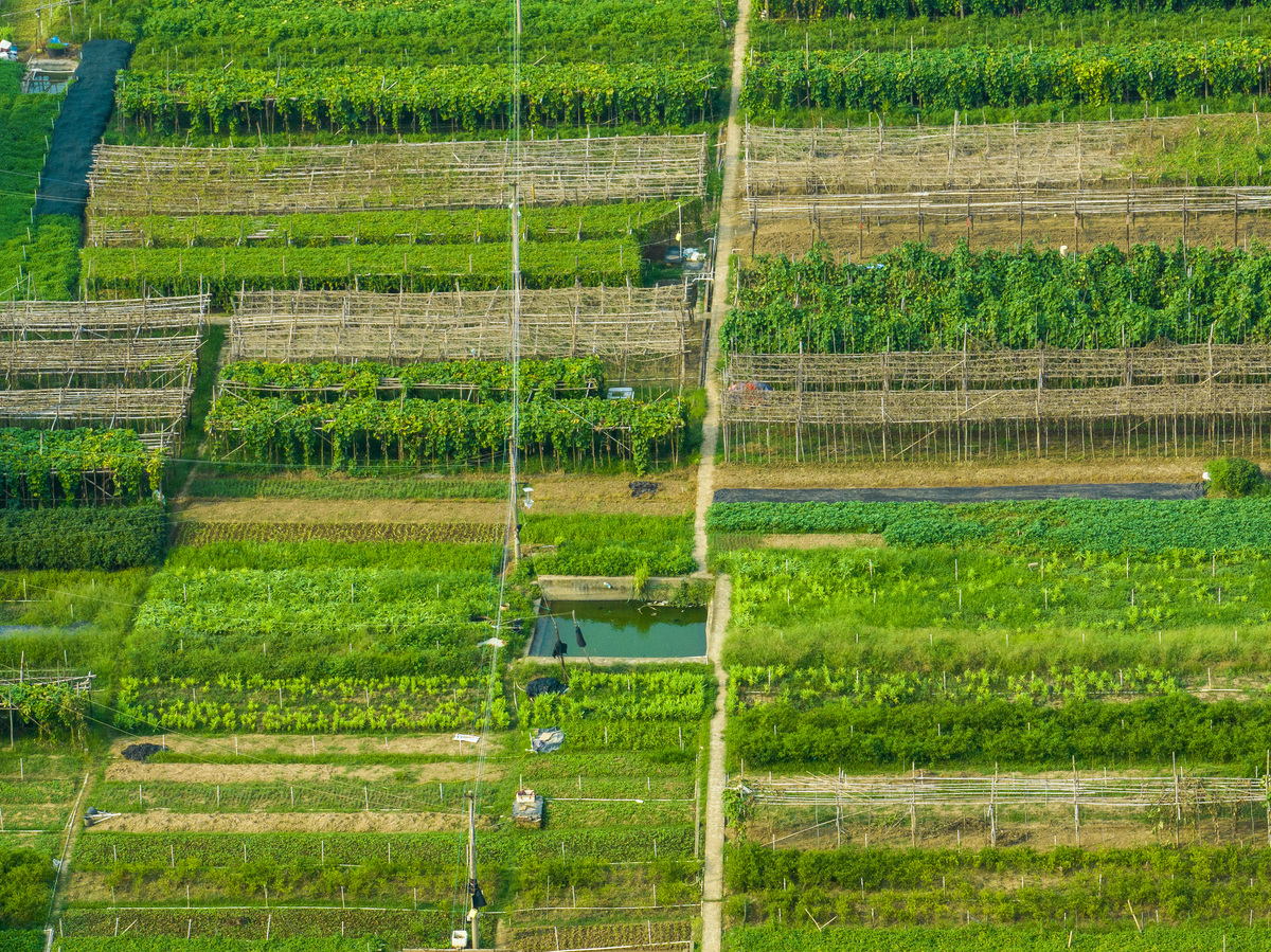 2023年报读观光农业专业就业前景好不好？