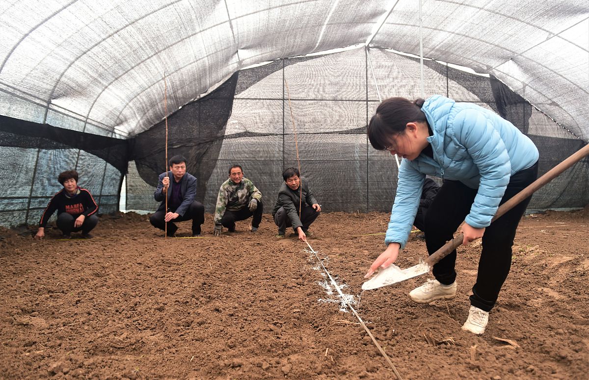 柳州市医药生物工程职业技术学校2023年招生简章解读 - 报考条件、流程及优势