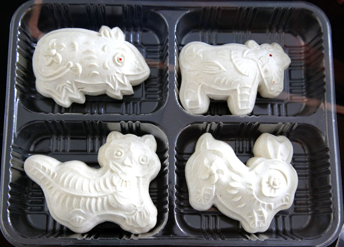 沧州2022年哪些大专的卫校比较好