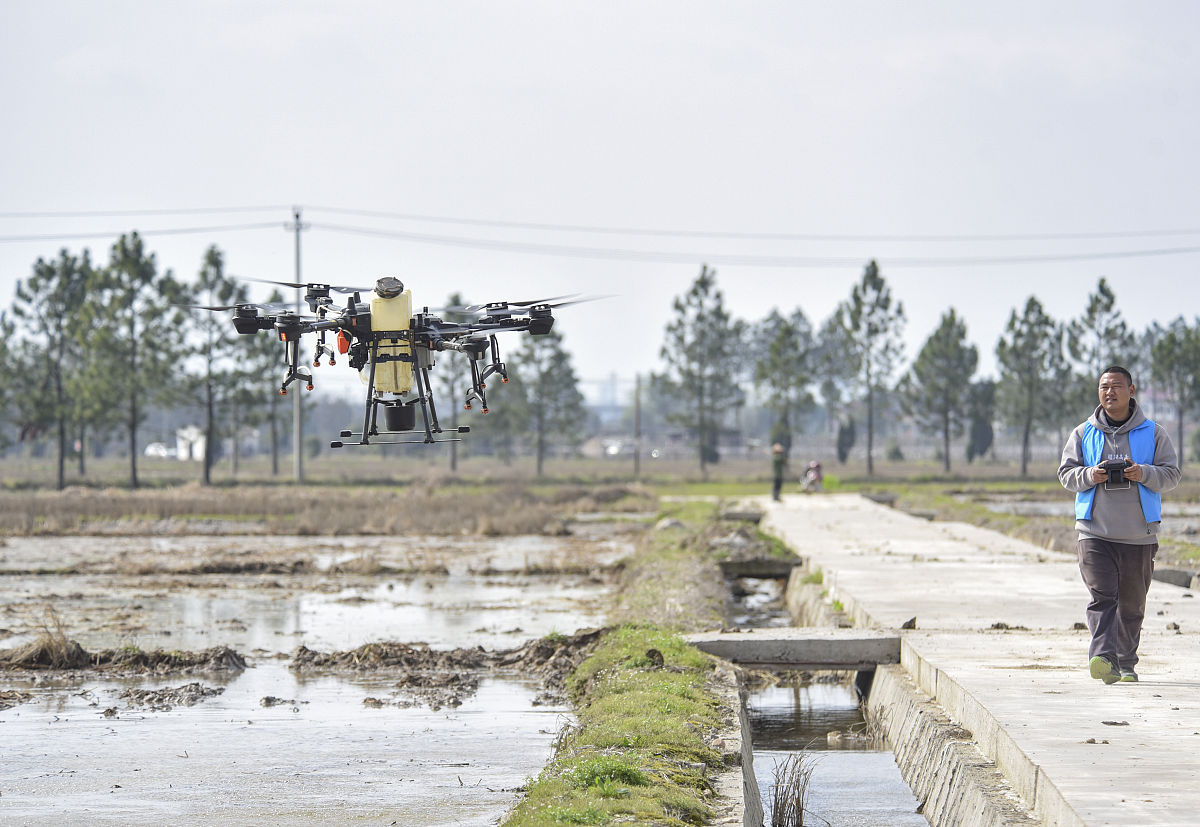 金华职业技术学院学前教育专业怎么样