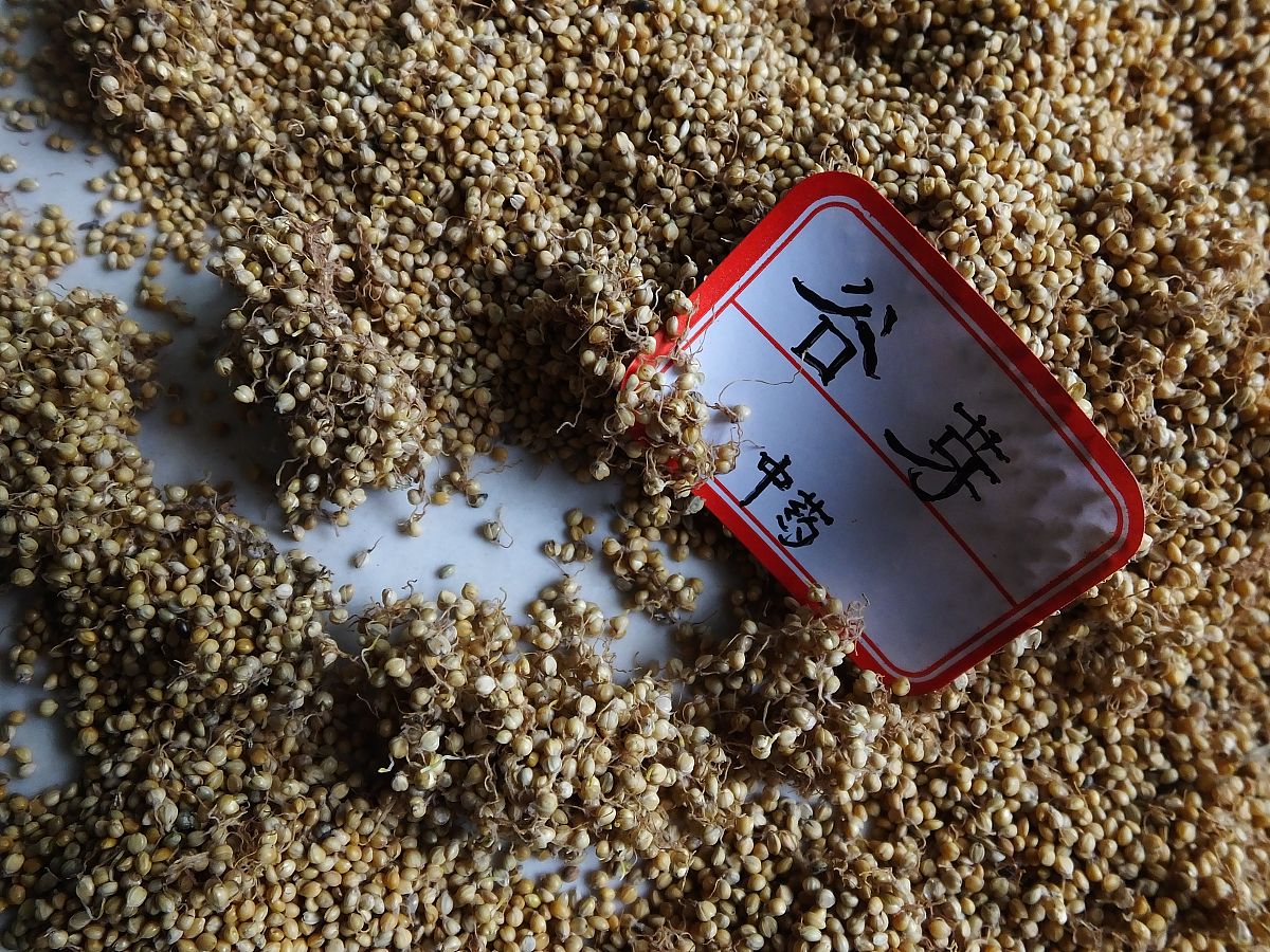 将 虫白蜡西瓜霜红曲米鹿角胶辣根片谷芽儿茶山楂粉淡豆豉人中白樟脑冰片稻芽冬瓜皮玉米须艾条薄荷油神曲艾绒柿霜薄荷脑焦山楂獐宝蜂蜡百草霜以 、分割不要排序