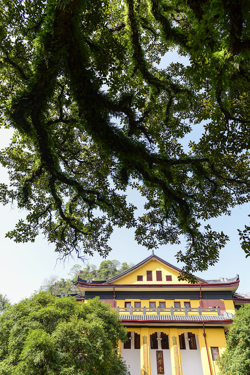 广西2022年学卫校哪个学校好