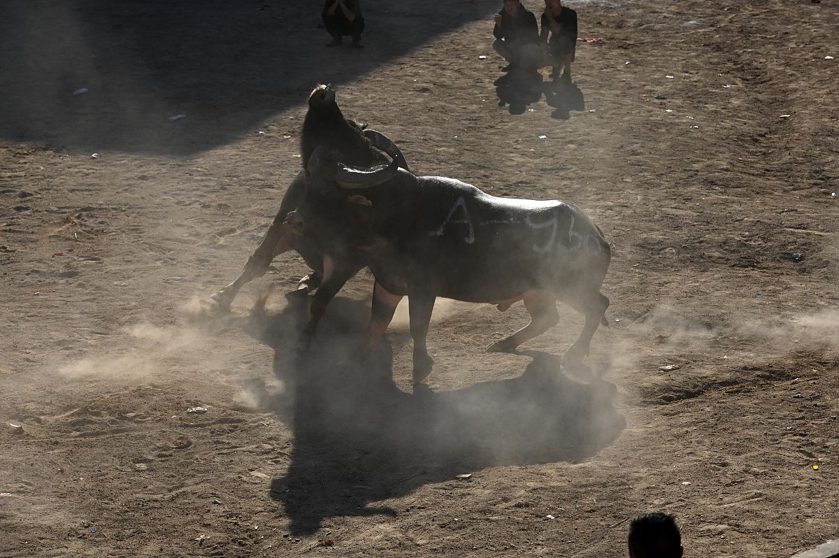 贵阳中考300分能读的幼师学校有哪些