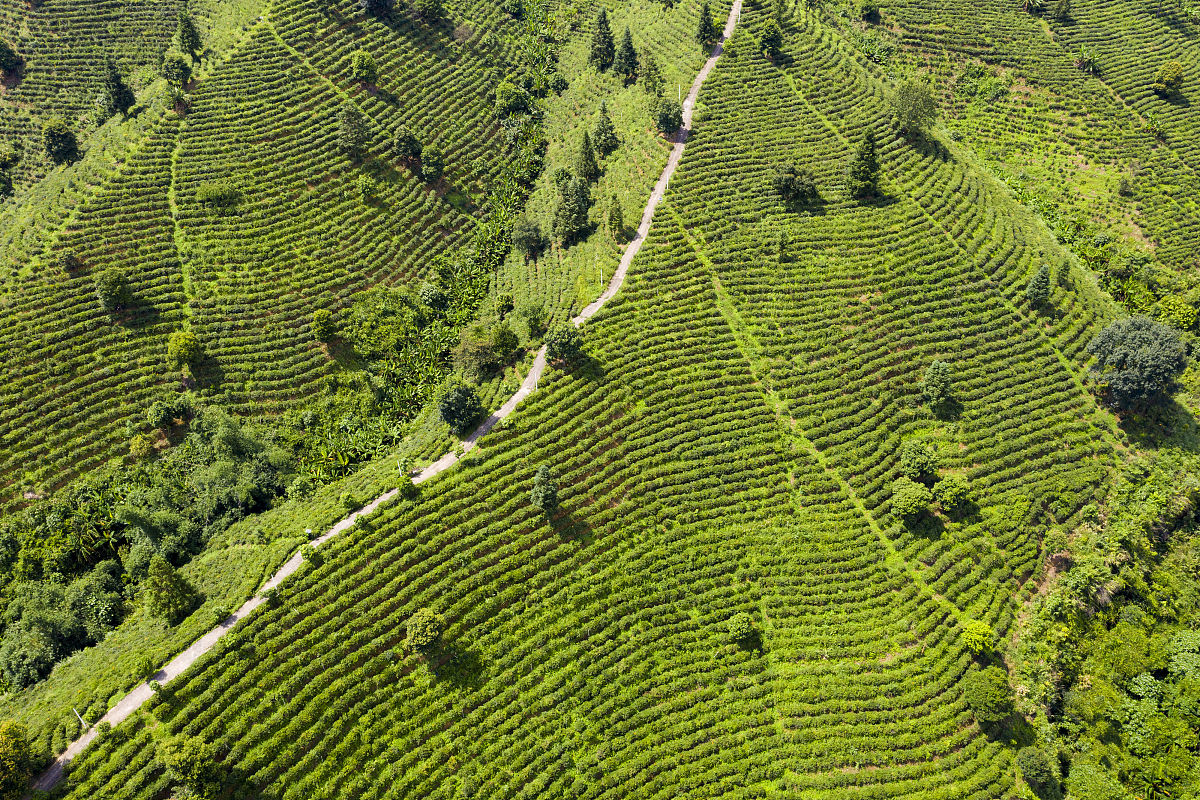 广西生态工程职业技术学院建筑装饰工程专业怎么样？好学吗？