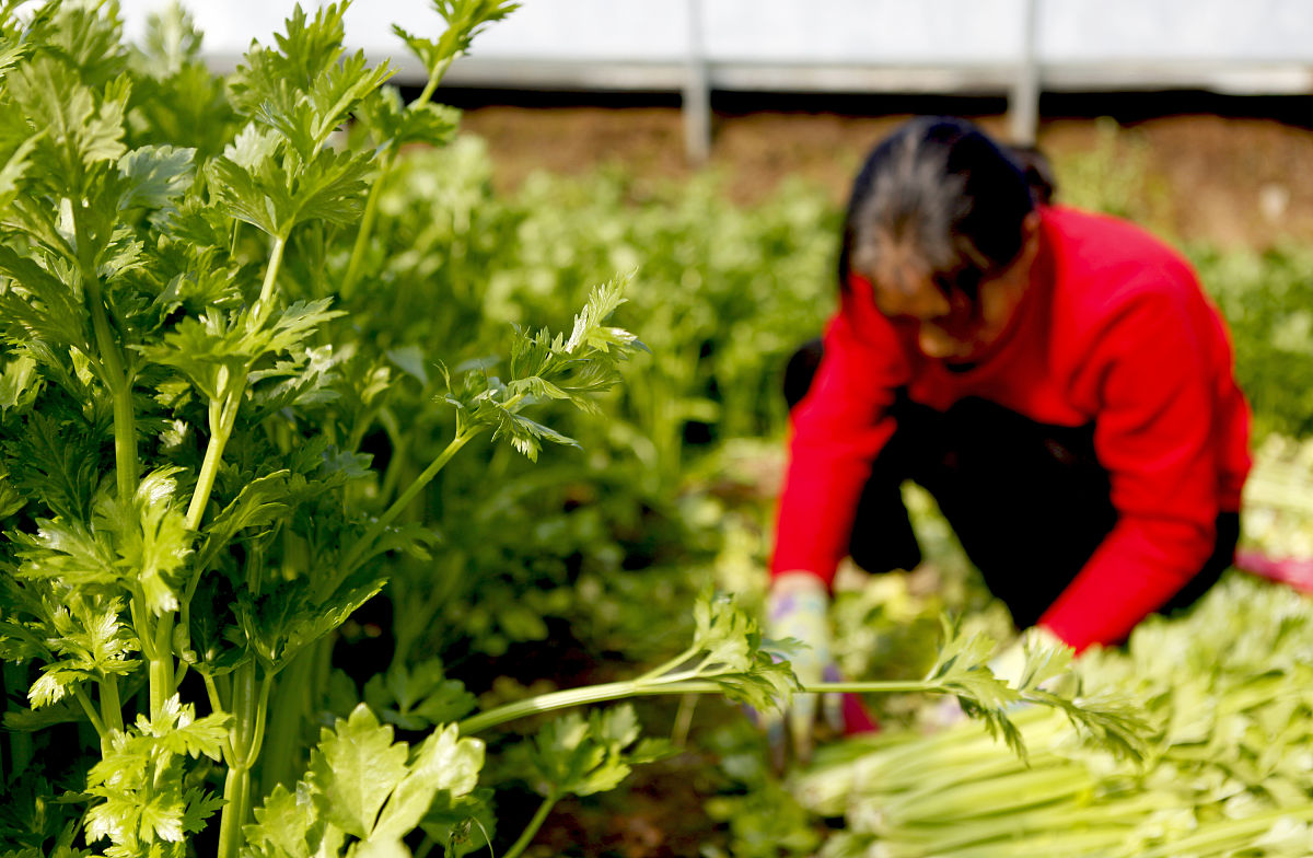 临汾文化艺术学校2023年招生简章-报名方式及录取条件