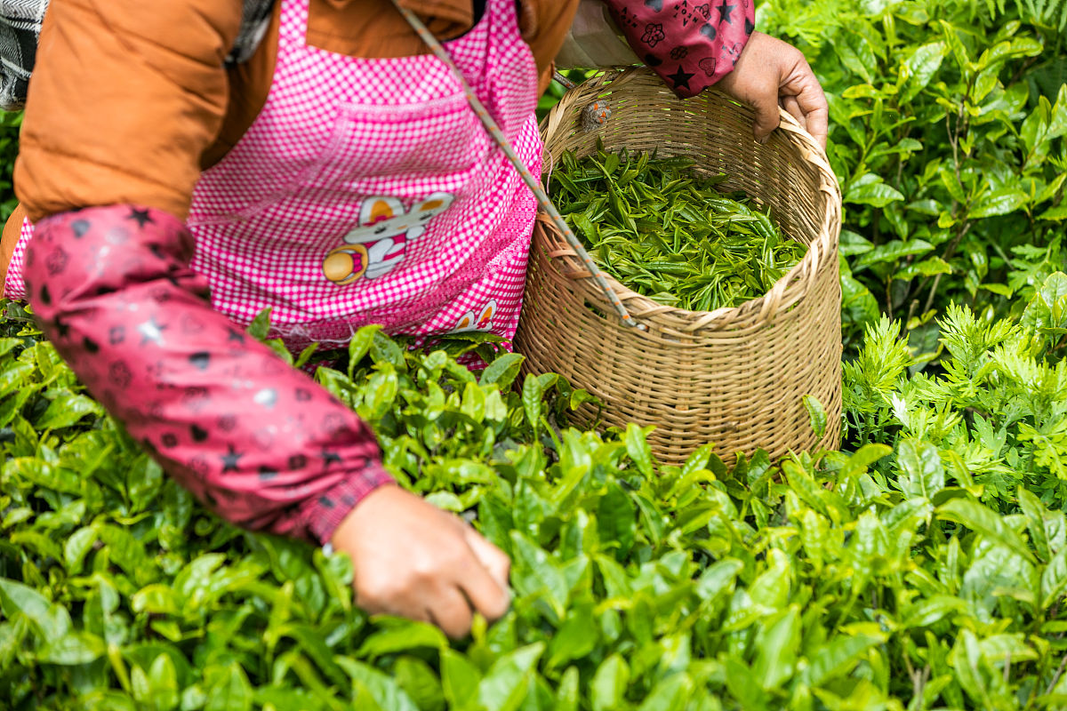 纳雍中等职业学校2022年招生简章