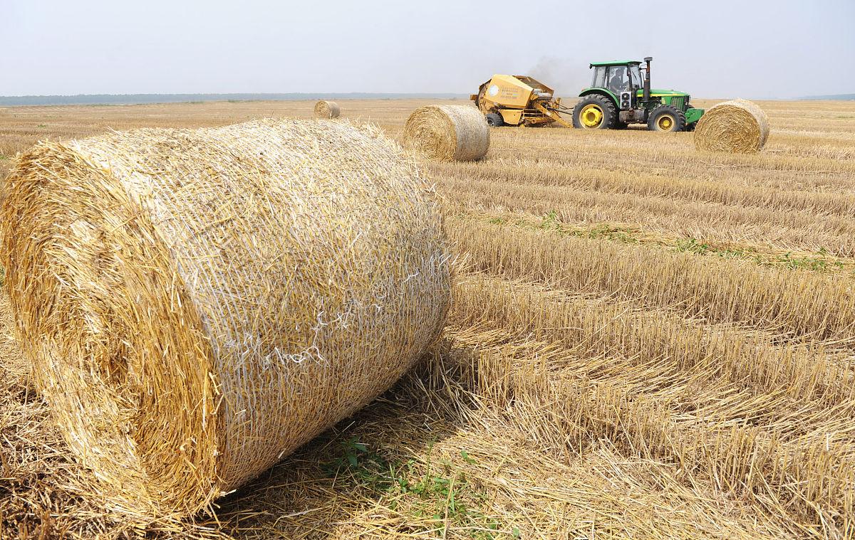 写一篇：计算材料科学在玉米秸秆全生命周期中的应用。现请结合你研究的课题内容利用本门课的所学知识设计在课题研究过程中应用计算材料科学技术解决相关问题的思路、方案以及结果等。重点阐述计算材料科学在你课题研究中有哪些应用？应用了之后解决了哪些具体问题？同时也可以将你认为有所创新但还没能实现的计算材料科学的研究方法的设想等进行阐述。具体题目请根据实际情况自拟。内容要求：建议包括 但不局限 于 以下 内
