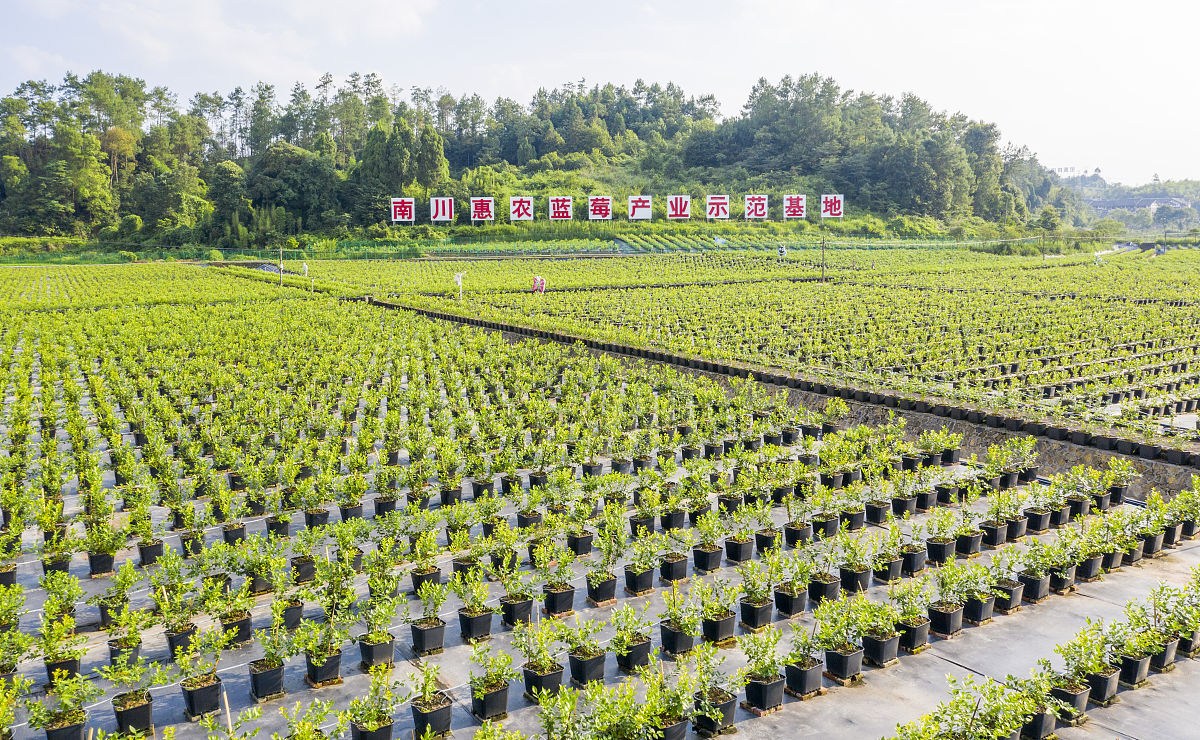 红河中专学校果蔬花卉生产技术
