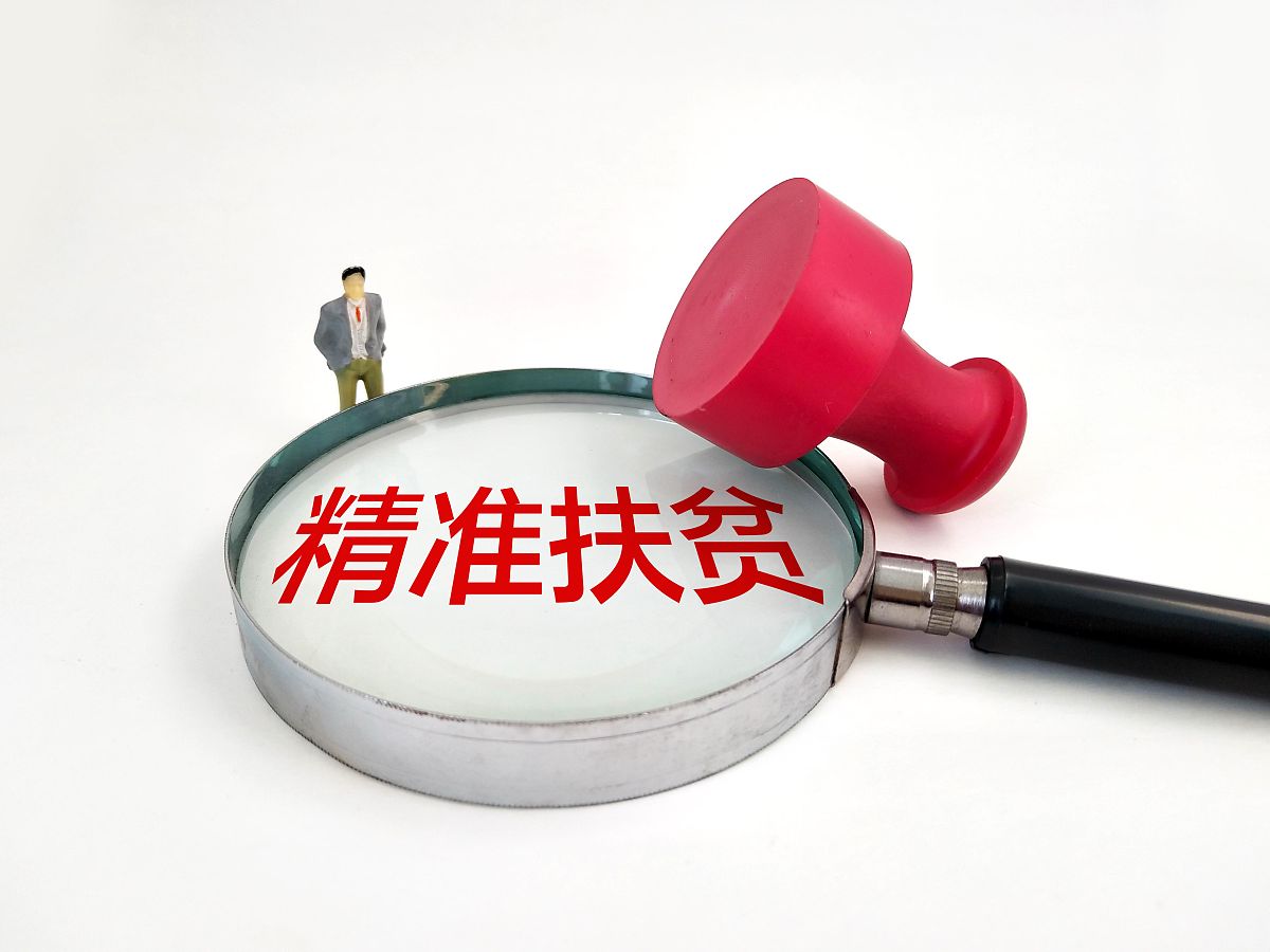 扶贫资金投入项目全方位梳理与分析报告