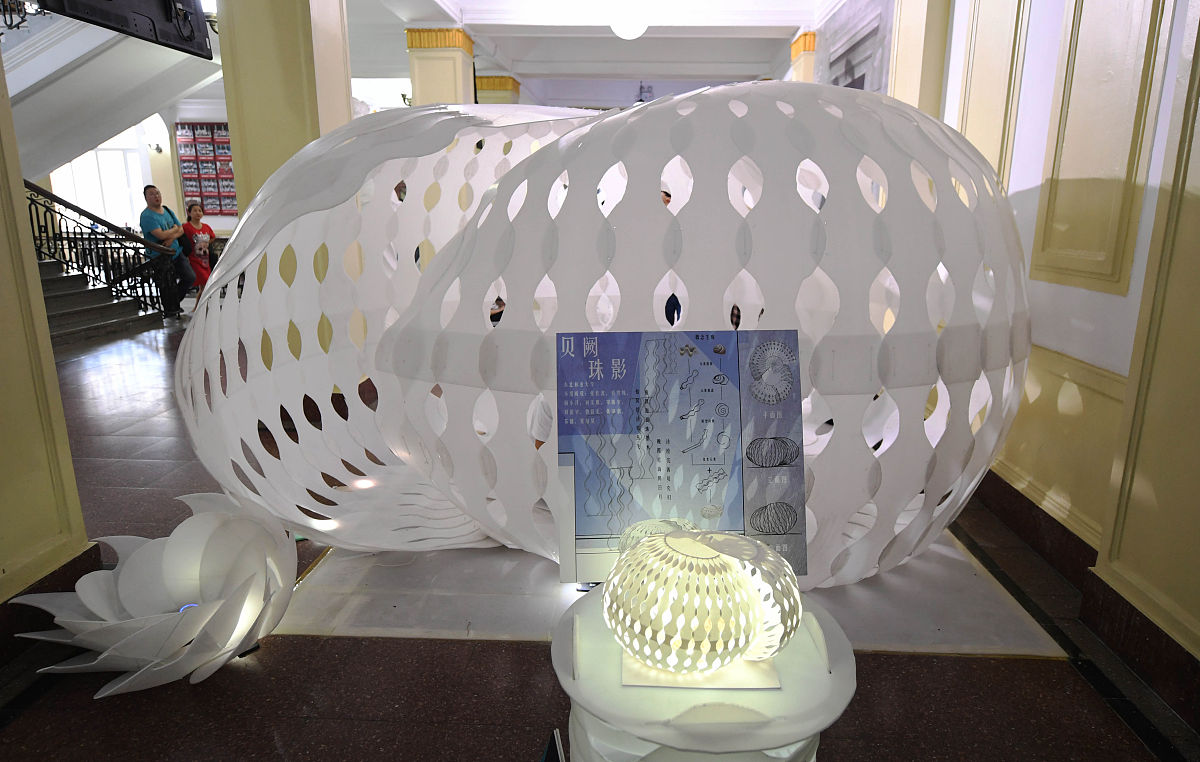 东北林业大学林学专业前景分析：就业方向与发展机遇
