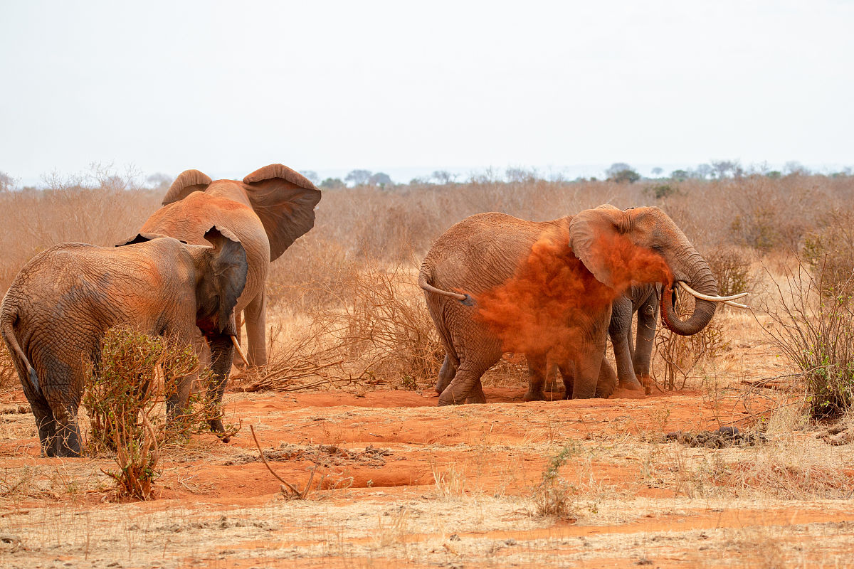 LINE群聊模拟：如何扮演好你的角色