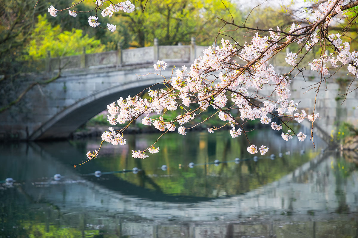 杭州西子机电技术学校2021年招生条件是什么