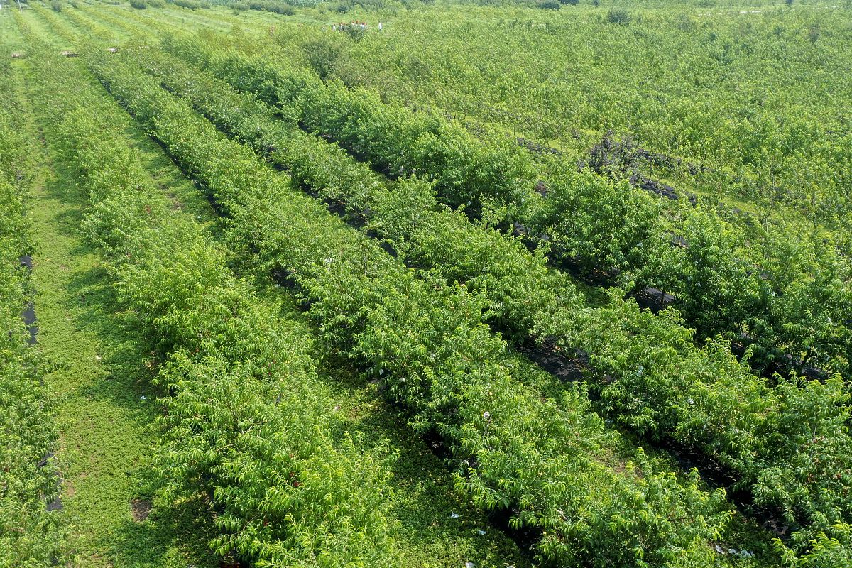 广西桂林农业学校畜牧兽医专业招生，未来发展前景广阔！