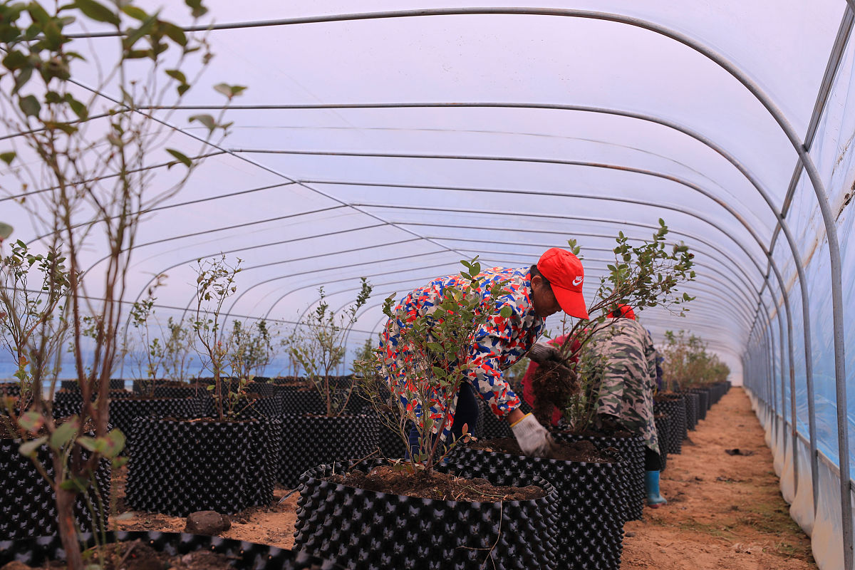 广西梧州农业学校2023年开设了什么专业-怎么样