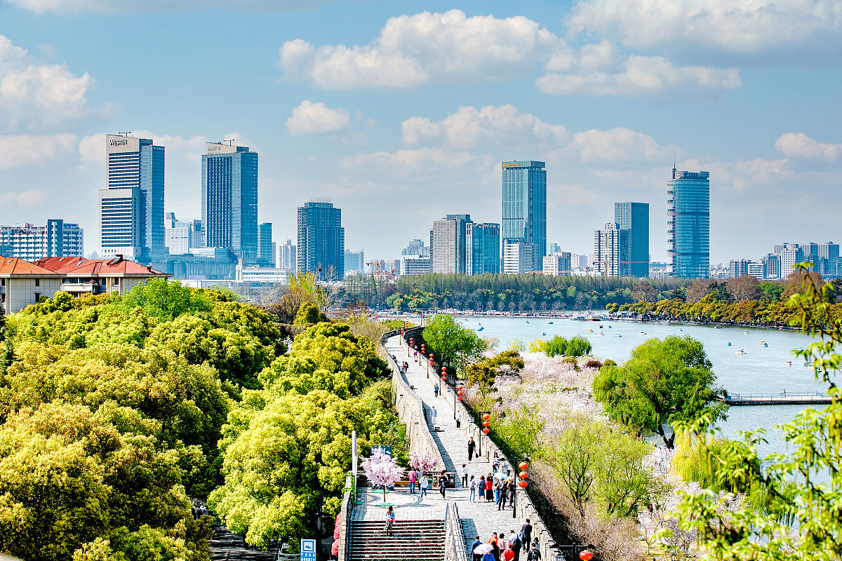 2021年3月26日,春日的南京城墙,绿树樱花,很好看,尤其是玄武湖一段的