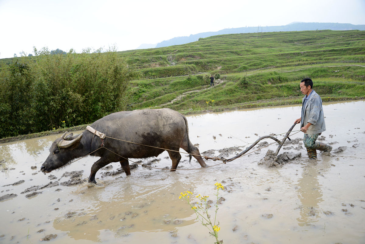 贵州哪些大专学校的汽修类专业好