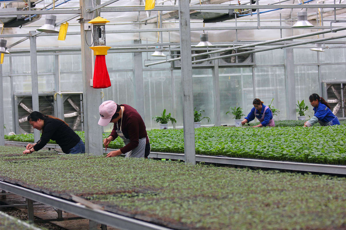 辽宁职业学院作物生产技术专业：优势分析及就业前景