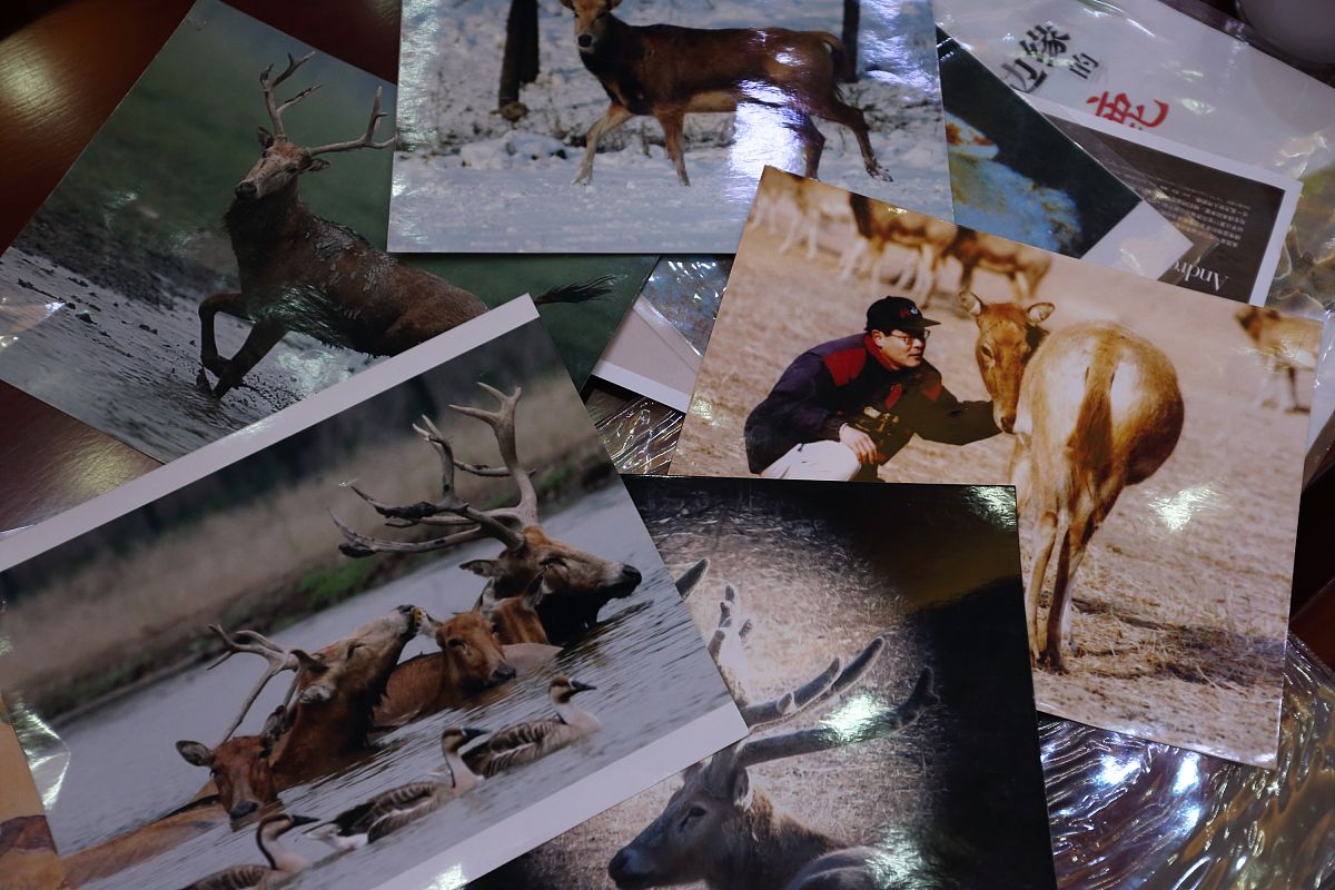 科普工作概述：什么是科普工作？