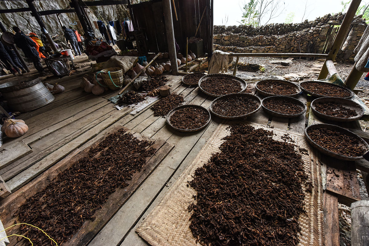 河池交通技工学校2023年招生简章-怎么样