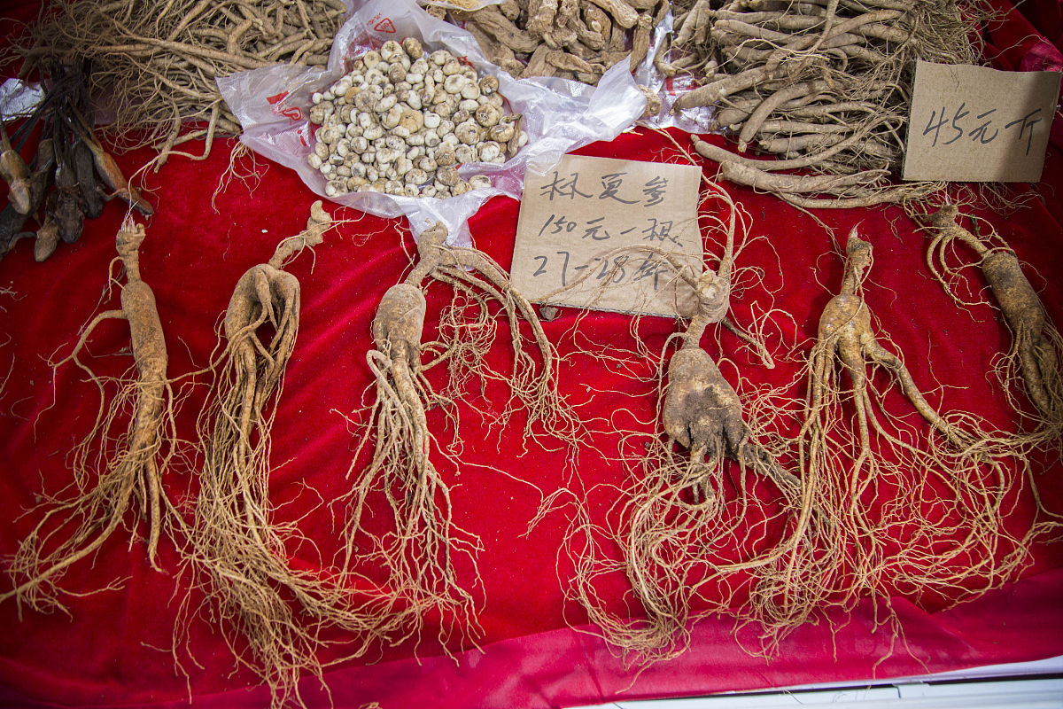 假西洋参用什么冒充的，