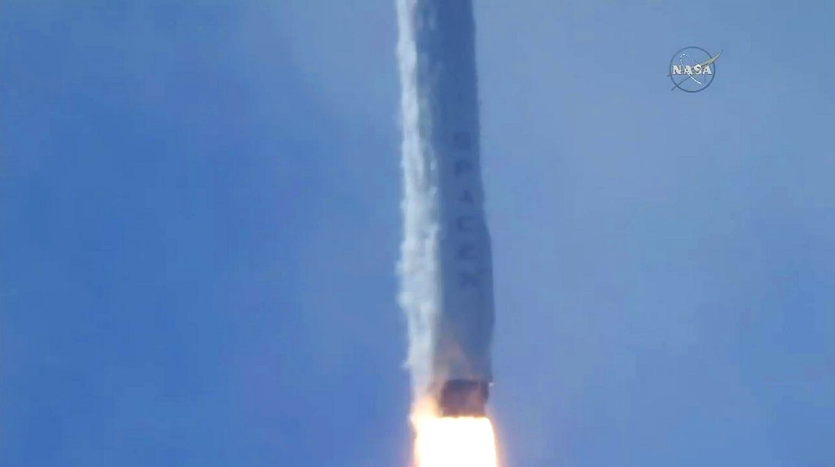 叔本华认识论：直观的形成与悟性的作用