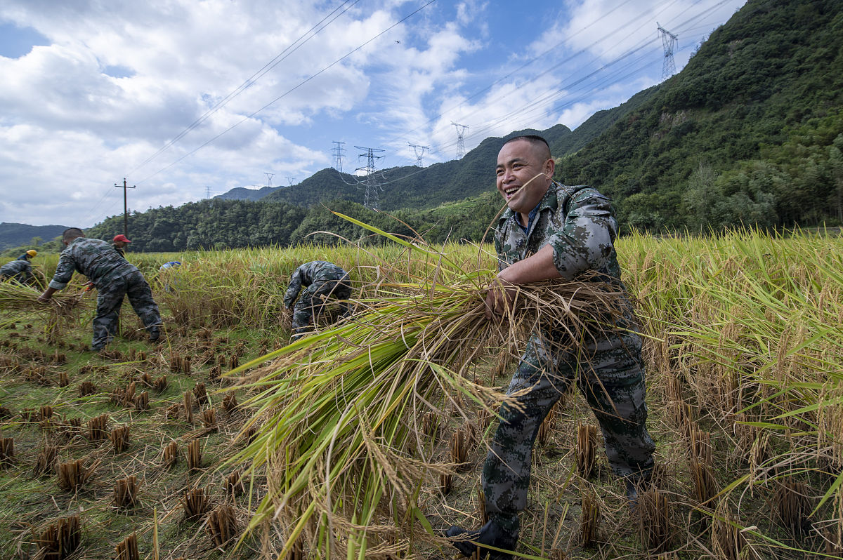 岚皋县田坝村水稻种植现状及病虫害防治调查报告