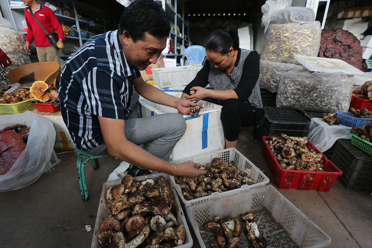 楚雄州工业学校工程造价专业