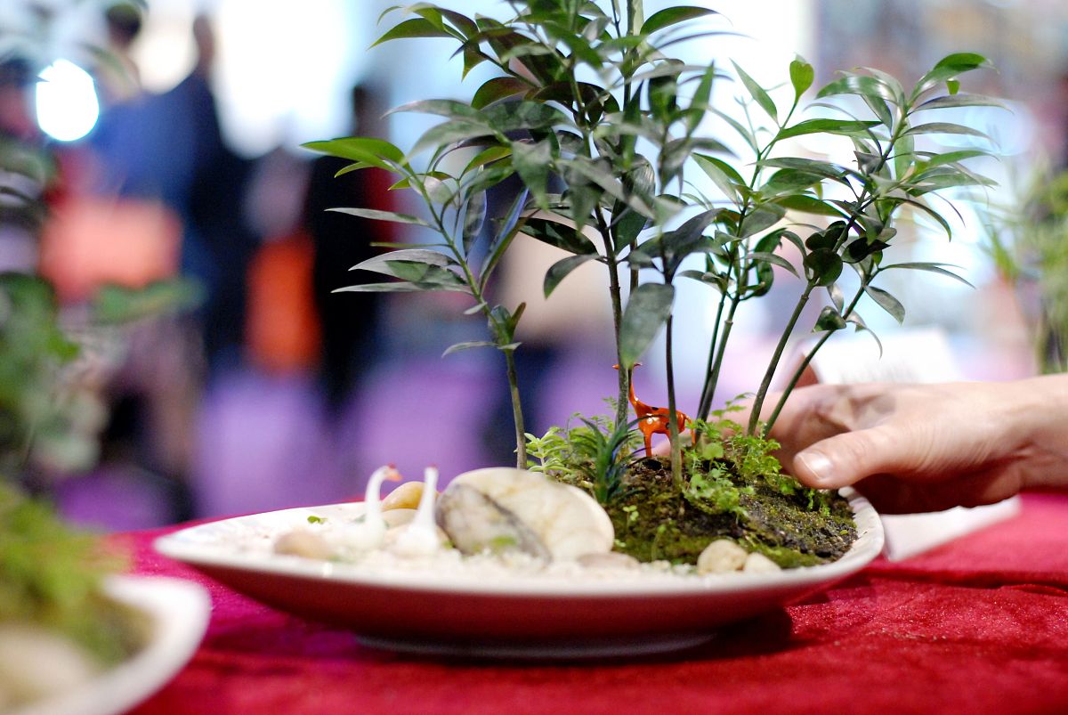 温州科技职业学院专业设置：涵盖多个领域，为学生提供多元选择