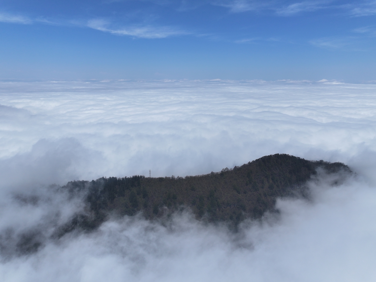 山顶风景美不 