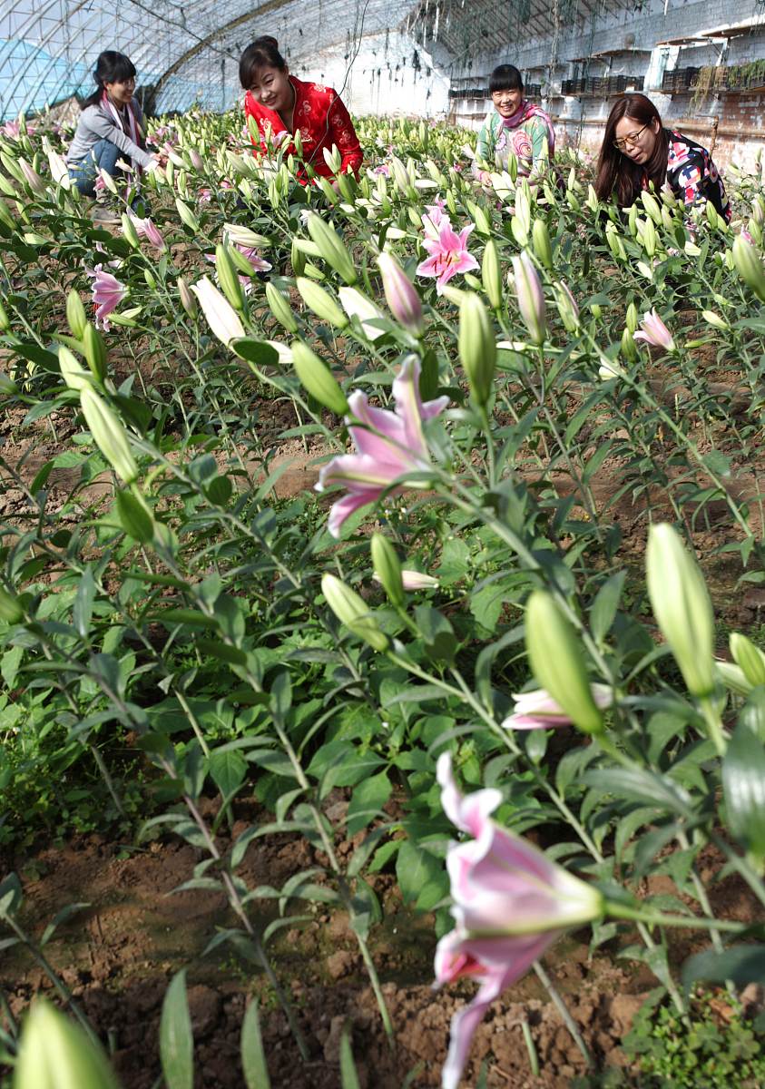 舟山航海学校生态农业技术专业怎么样专业解读