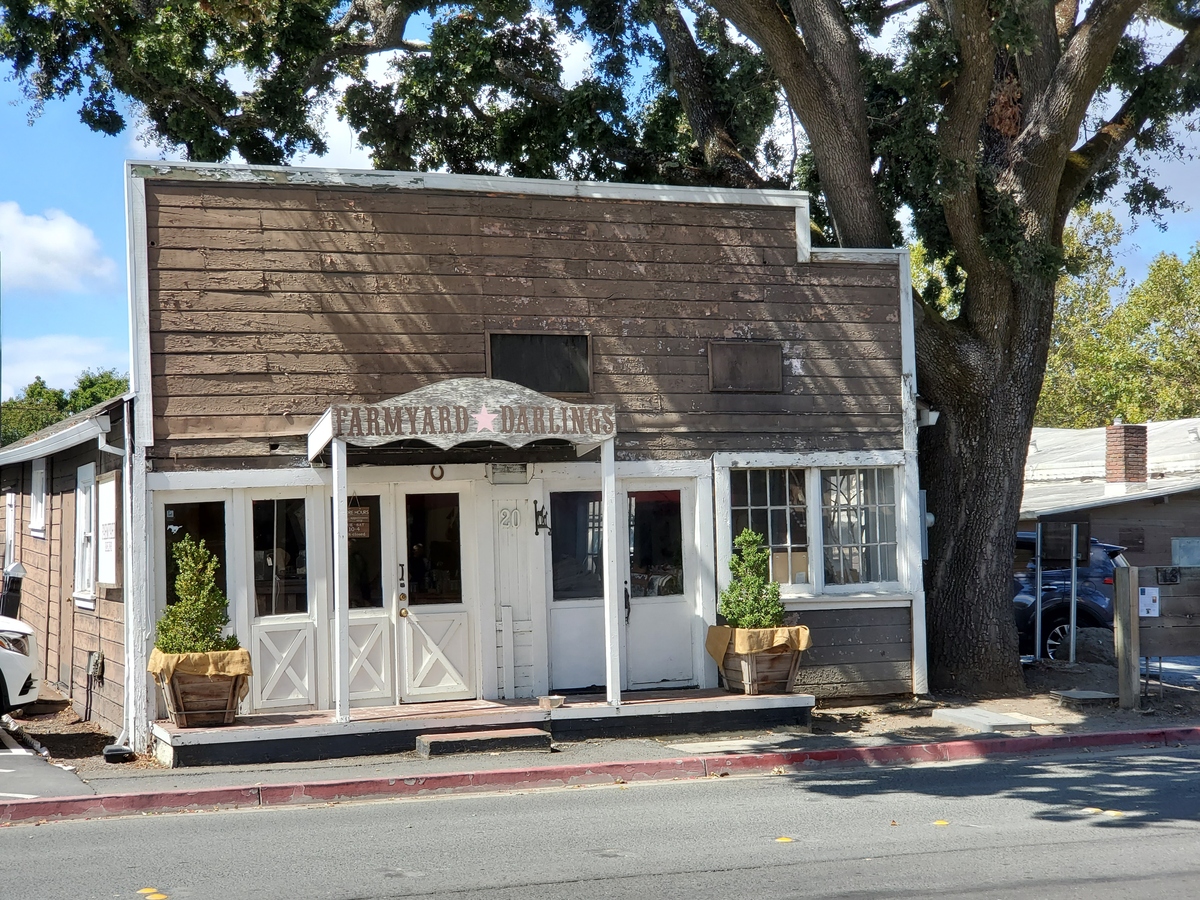 Why is this chapter called LaughterIs there something you and your brother or sister have in common like to Nennyand Esperanza from the book the house on mango street Please use one paragraph in grade