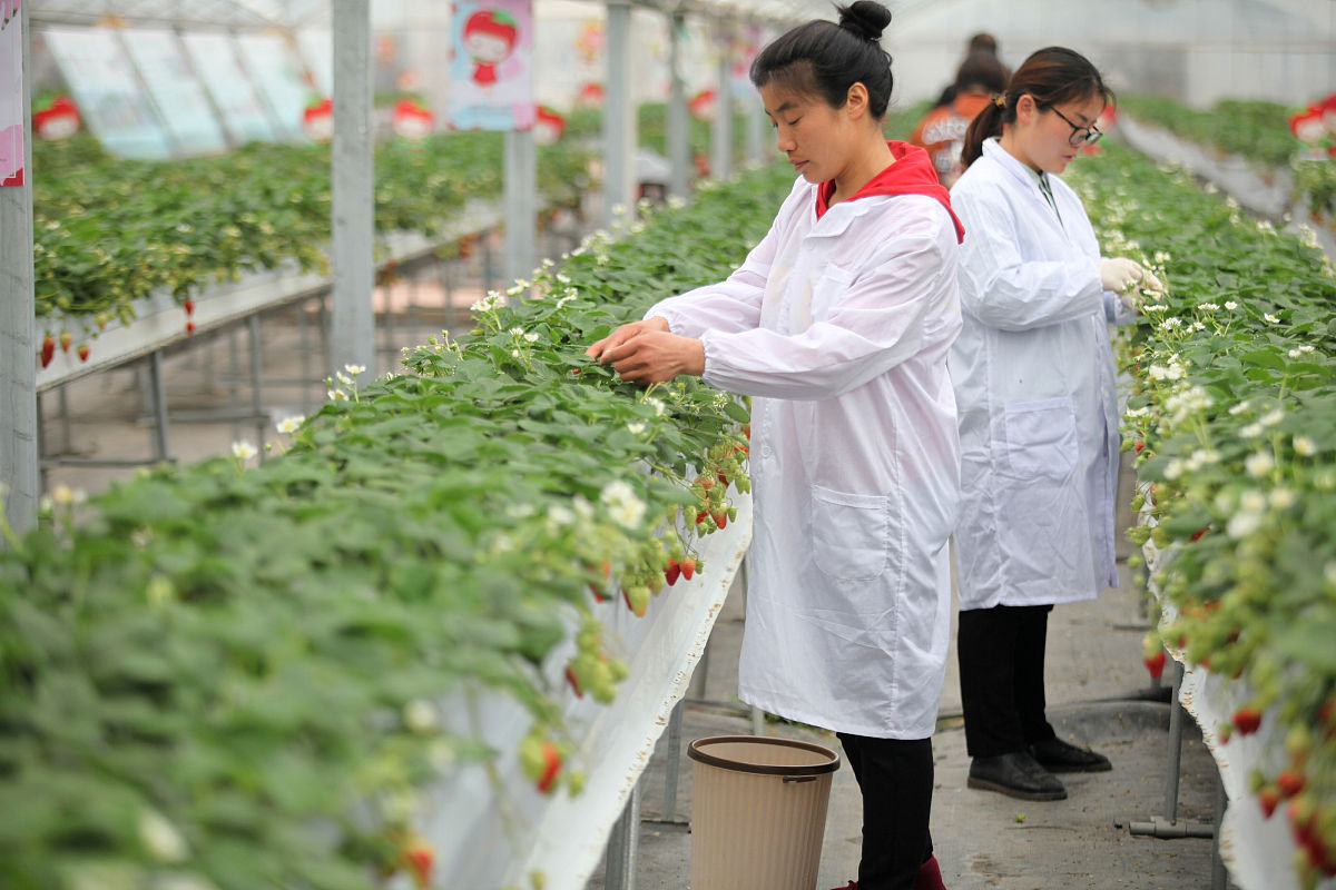 道真职业教育培训中心果蔬花卉生产技术专业好吗