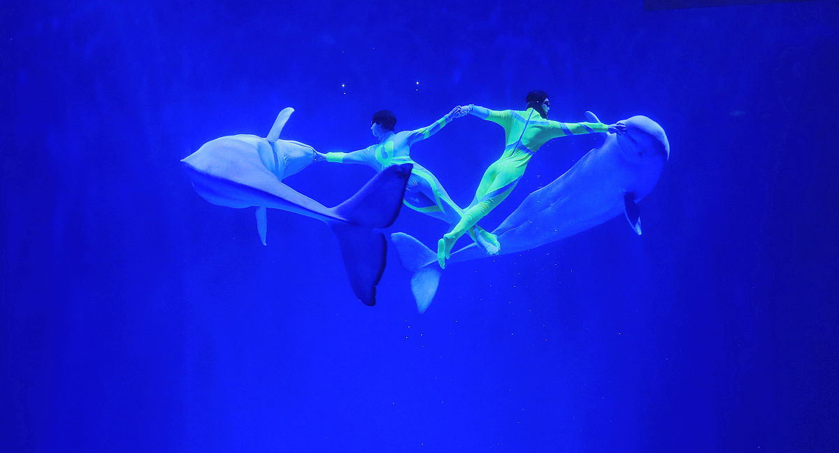 四川烹饪高等专科学校2019+酒店管理专业招生