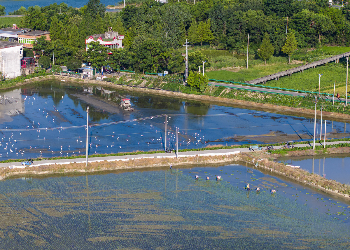 山坪塘改造方案：提升生态环境与旅游体验