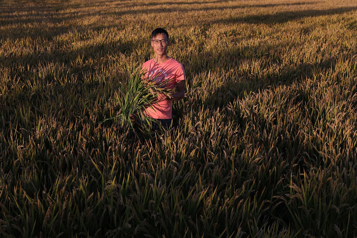 襄阳职业技术学院会计专业怎么样？热门专业，前景广阔！