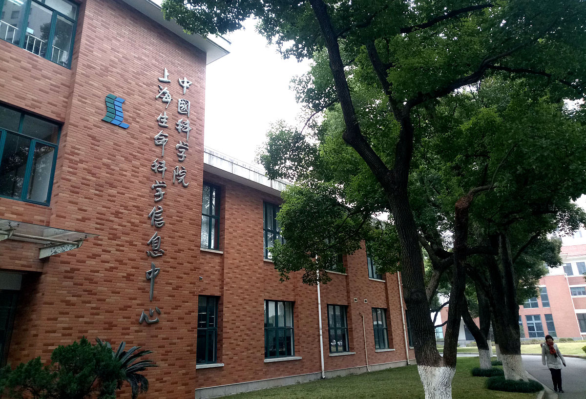 四川音乐学院附属中等艺术学校美术绘画专业：如何培养创新型美术人才