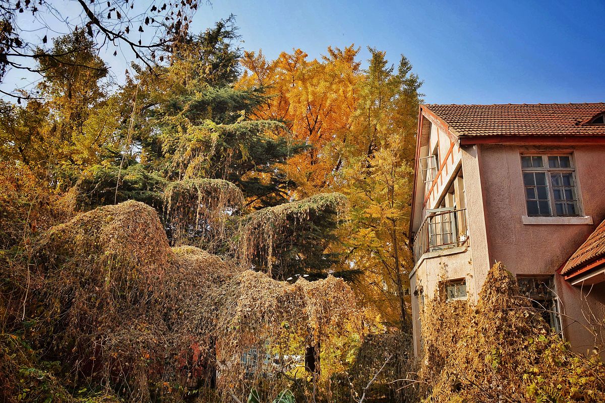 旅顺太阳沟景区：国家AAAA级旅游景区，集自然风光、文化遗址和军事景观于一体
