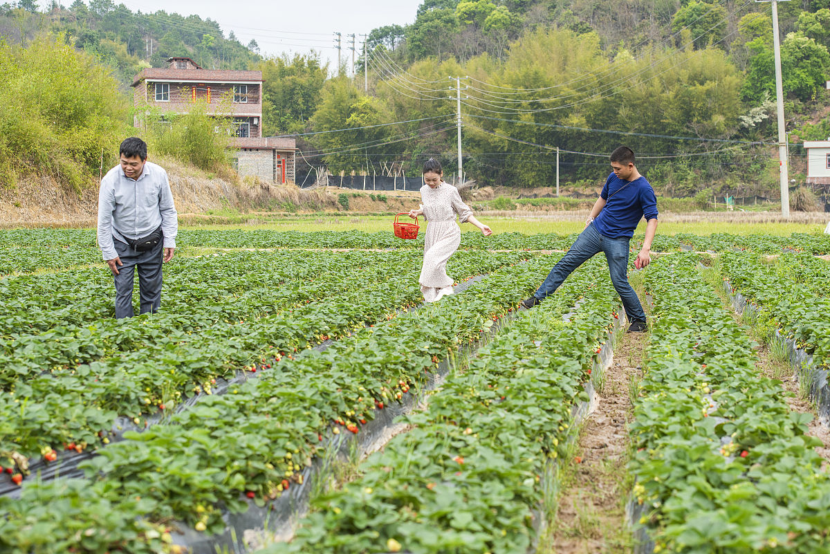 下三乡实践报告