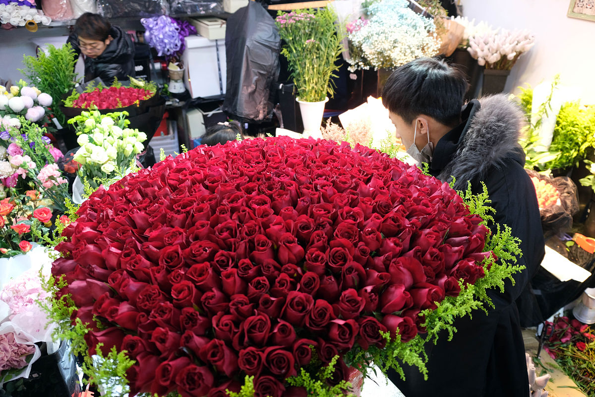 红色的玫瑰花有什么品牌的