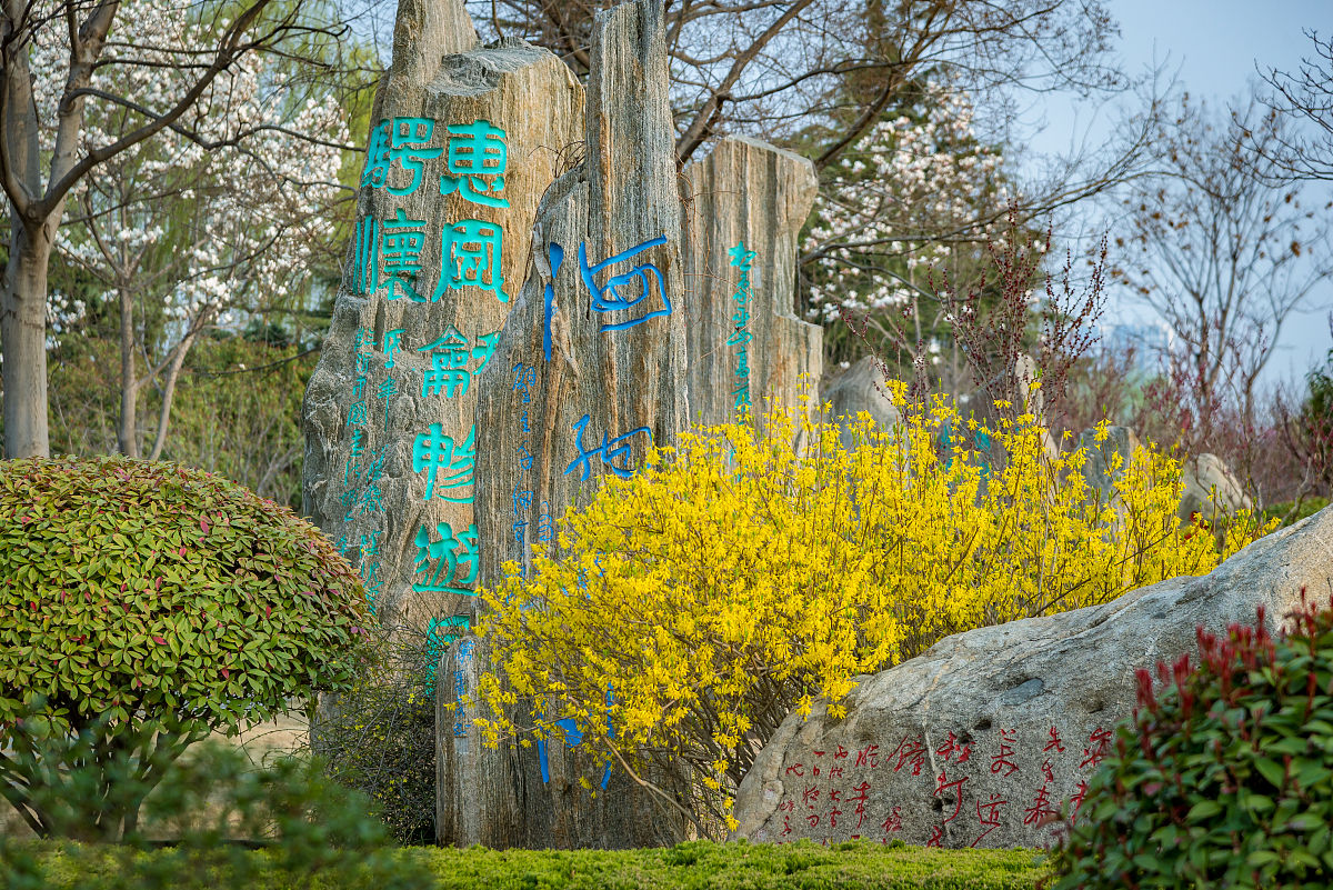 2022年3月23日,春日里的山东临沂书法广场,鸟语花香,生机盎然.